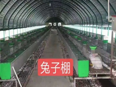 天津厂家直供 水产养殖大棚 菌菇养殖大棚 养兔子大棚 养鸽子大棚图4