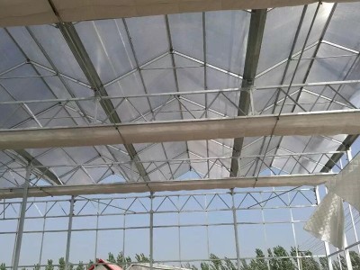 厂家建造连栋温室大棚 农业育苗养殖大棚 光伏太阳能温室大棚图3