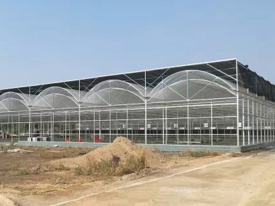 厂家建造连栋温室大棚 农业育苗养殖大棚 光伏太阳能温室大棚图5
