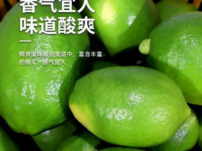 整箱广东香水柠檬农产品现摘现发柠檬果奶茶店专用水果一件代发图2