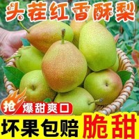产地直发红香酥梨新鲜应季孕妇水果整箱10斤发货支持代发梨子