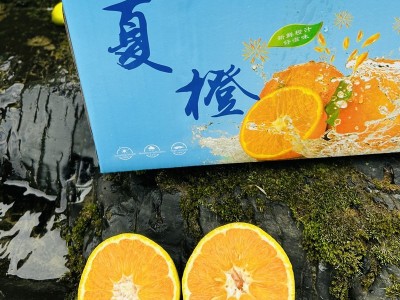 湖北秭归夏橙现摘水果大果新鲜酸甜多汁应当季手剥橙子自家种植图2