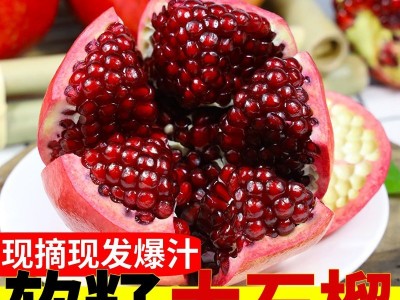 【现货】突尼斯软籽石榴新鲜水果10斤应季四川会理软子红心无籽孕图2