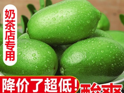香水柠檬果闪电发货海南无籽柠檬一级青柠檬薄皮广东新鲜水果柠檬图4
