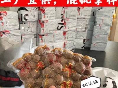 汕头潮汕牛肉丸牛筋丸火锅丸子社区牛肉店用食材厂家批发零售代发图2