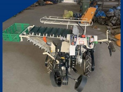 厂家直供地瓜红薯移栽机 蔬菜药材多功能种植机 秧苗栽植机图3