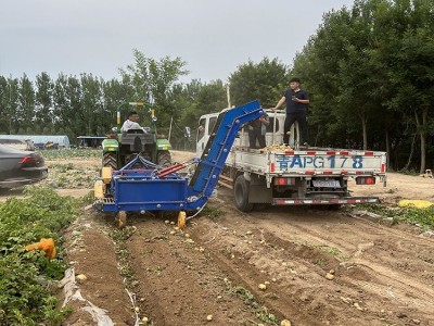 土豆收获上车机 红薯地瓜收获装车机 上车动刀马铃薯联合收获机图4
