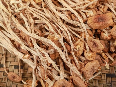 2023福建古田鹿茸菇500g干货新鲜脆脆菇食用煲汤食材厂家直销批发图2