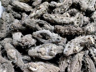 海参工厂 真正野生老淡干海参涨发率高口感劲道顺丰包邮 海参批发图2