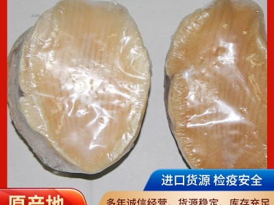 澳洲黄金澳鲍图1