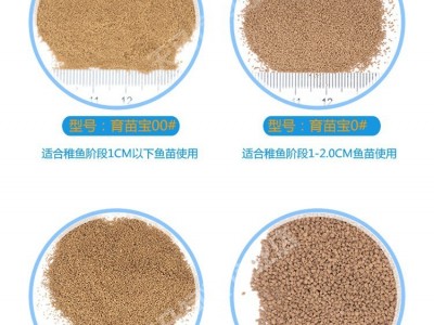 小鱼苗开口饲料黑鱼塘鲺锦鲤热带观赏水花幼鱼苗水产养殖专用饲料图2