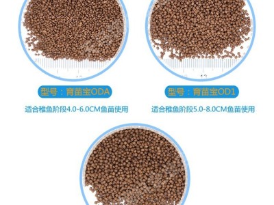 小鱼苗开口饲料黑鱼塘鲺锦鲤热带观赏水花幼鱼苗水产养殖专用饲料图3