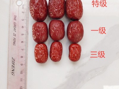 厂家货源批发新货新疆若羌红枣500g袋装小核灰枣皮薄肉厚一件代发图2