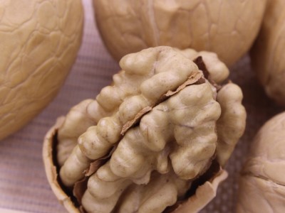 批发新疆核桃500克袋装新货薄皮核桃 5斤整箱送夹纸皮核桃仁代发图4