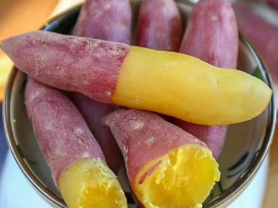 天目山小香薯5斤图5