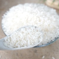 榔桥河支持定制 大米批发长粒香米（丰两优）农家自产新米真空包