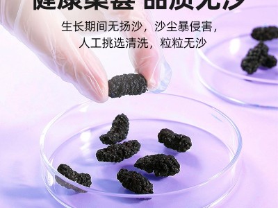 杞里香桑葚干攀枝花桑葚干200g瓶装黑桑葚手选桑椹干花果茶图4