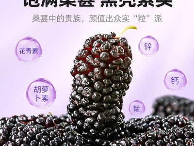 杞里香桑葚干攀枝花桑葚干200g瓶装黑桑葚手选桑椹干花果茶图5