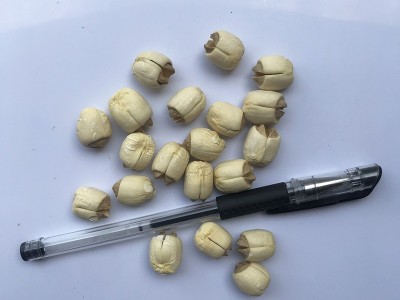 君志 江西广昌白莲子干货批发 手工非磨皮500g散装同建宁无芯莲子图2