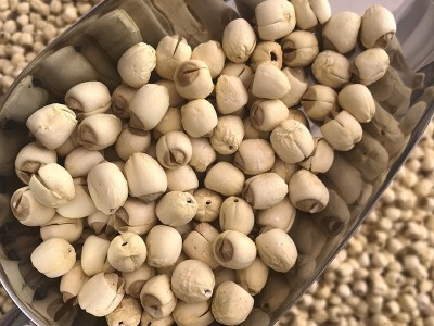 君志 江西广昌白莲子干货批发 手工非磨皮500g散装同建宁无芯莲子图3