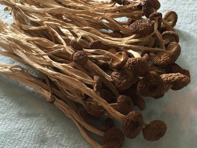 君志 江西广昌3号茶树菇干货批发食用菌 中粗不开伞精品 2023新货图4