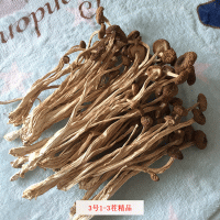 君志 江西广昌3号茶树菇干货批发食用菌 中粗不开伞精品 2023新货