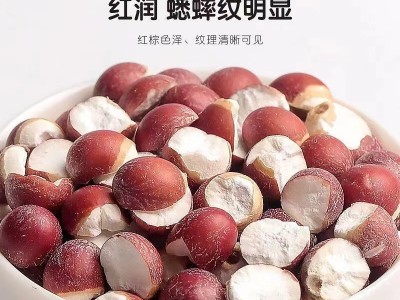 中药材芡实 现货批发 鸡头米肇庆芡实代餐粉原料规格齐全量大从优图5