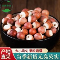 中药材芡实 现货批发 鸡头米肇庆芡实代餐粉原料规格齐全量大从优