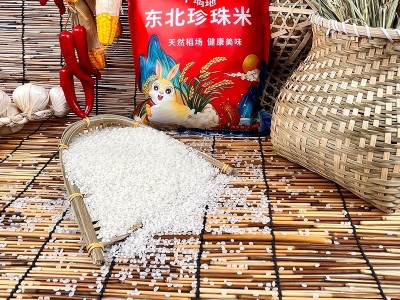 东北珍珠米批发五常大米5斤千垧地小袋装香米煮粥圆粒大米包邮图3
