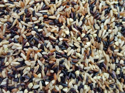 七色糙米饭五谷杂粮真空包装2.5kg包邮黑米红米荞麦燕麦粗粮米饭图3