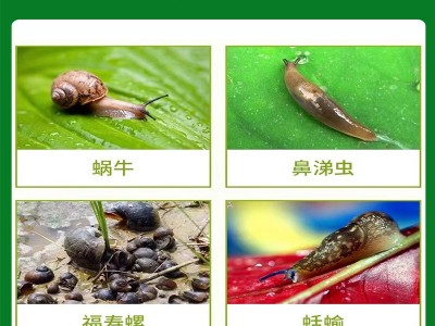 梅得赛5%四聚乙醛杀螺胺乙醇胺盐蔬菜花卉树杀蜗牛药鼻涕虫杀虫剂图3