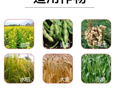 久易30%丙硫菌唑水稻小麦杀菌剂防治稻瘟病叶枯病农资农药批发图3
