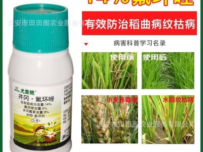 14%井冈氟环唑水稻杀菌剂稻曲病纹枯病褐斑病叶斑病锈病农药批发图2
