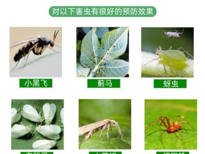 批发园艺防虫片通用蚜虫多肉蚧壳虫红蜘蛛花卉糖化硼肥片防虫颗粒图4