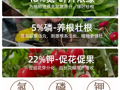 复合肥蔬菜农用种菜果树有机花肥料盆栽植物专用氮磷钾家用颗粒肥图2