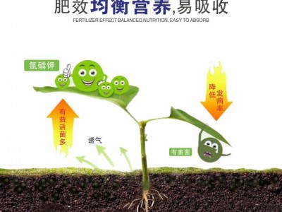 20-20-20平衡型水溶肥蔬菜水果基地种植冲施水溶性肥料量大从优图3