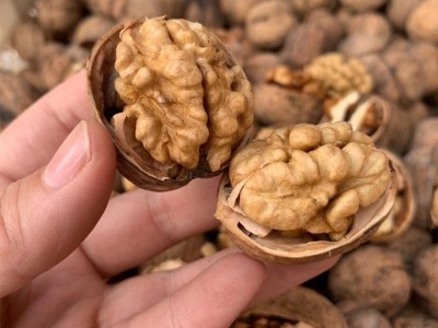 新疆185纸皮核桃500g坚果炒货休闲零食剥皮阿克苏纸皮核桃批发图3