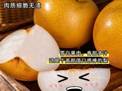 山东秋月梨4.5-5斤大果 新鲜水果梨子图3