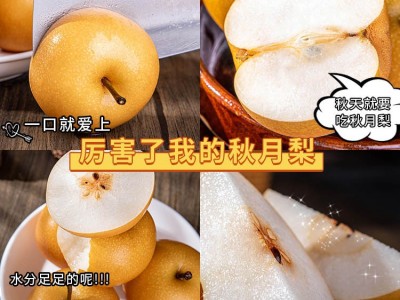 山东秋月梨4.5-5斤大果 新鲜水果梨子图2