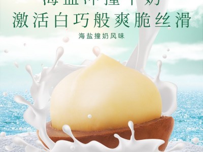 陈坚强海盐撞奶香味夏威夷果网红零食袋装一件代发坚果炒货图1