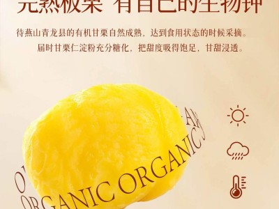 新农哥有机板栗仁60g香甜软糯甘栗仁开袋即食油栗子坚果休闲零食图3