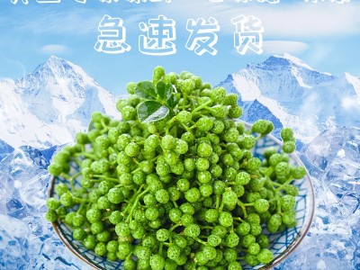厂家直供碧元珠保鲜花椒350g重庆特产九叶青新鲜藤椒麻椒 鲜花椒图3