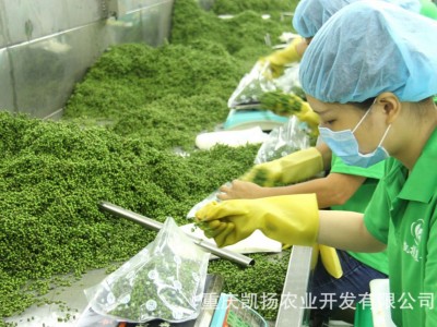 碧元珠重庆特产九叶新鲜青花椒50g小袋家用青麻椒 保鲜花椒图4