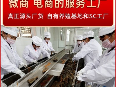 大连特产底播淡干海参干货大连海参批发5g海产干货海参图2