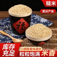 货源供应 糙米 新米米饭高纤维杂粮饭 农家糙米粗粮批发