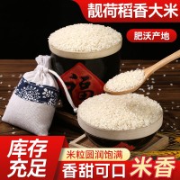 货源供应靓荷稻香大米当季圆粒米家用送礼饱满米粒农产品批发