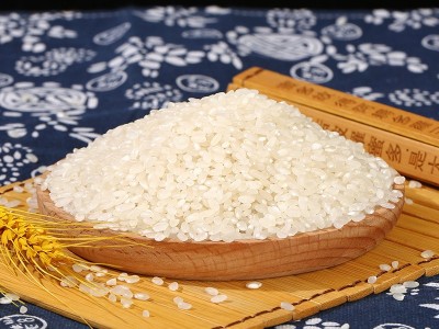 货源供应靓荷稻香大米当季圆粒米家用送礼饱满米粒农产品批发图4