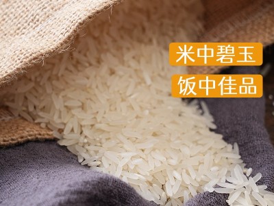 鄱阳湖丝苗米10斤装批发新米猫牙籼米批发煲仔饭长粒香真空包装图4