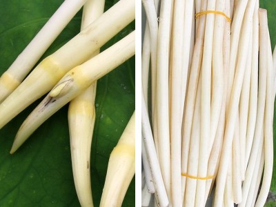 湖北特产400g袋装酸辣味泡藕尖泡藕带泡椒藕芽凉菜下饭菜整箱批发图4
