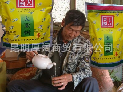 23年大理云龙大栗树茶碧螺春绿茶叶 新茶云南绿茶烘青碧螺春400g图3